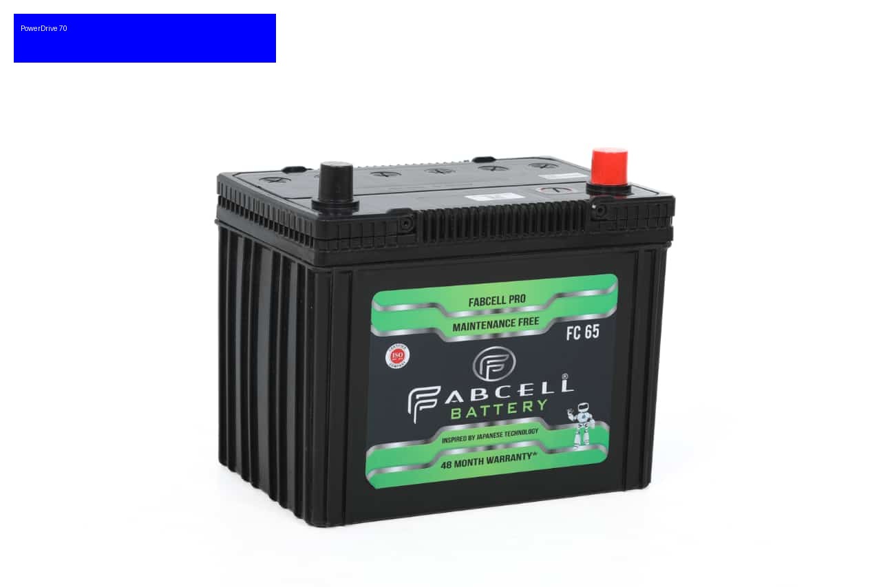 Four Wheeler Battery
