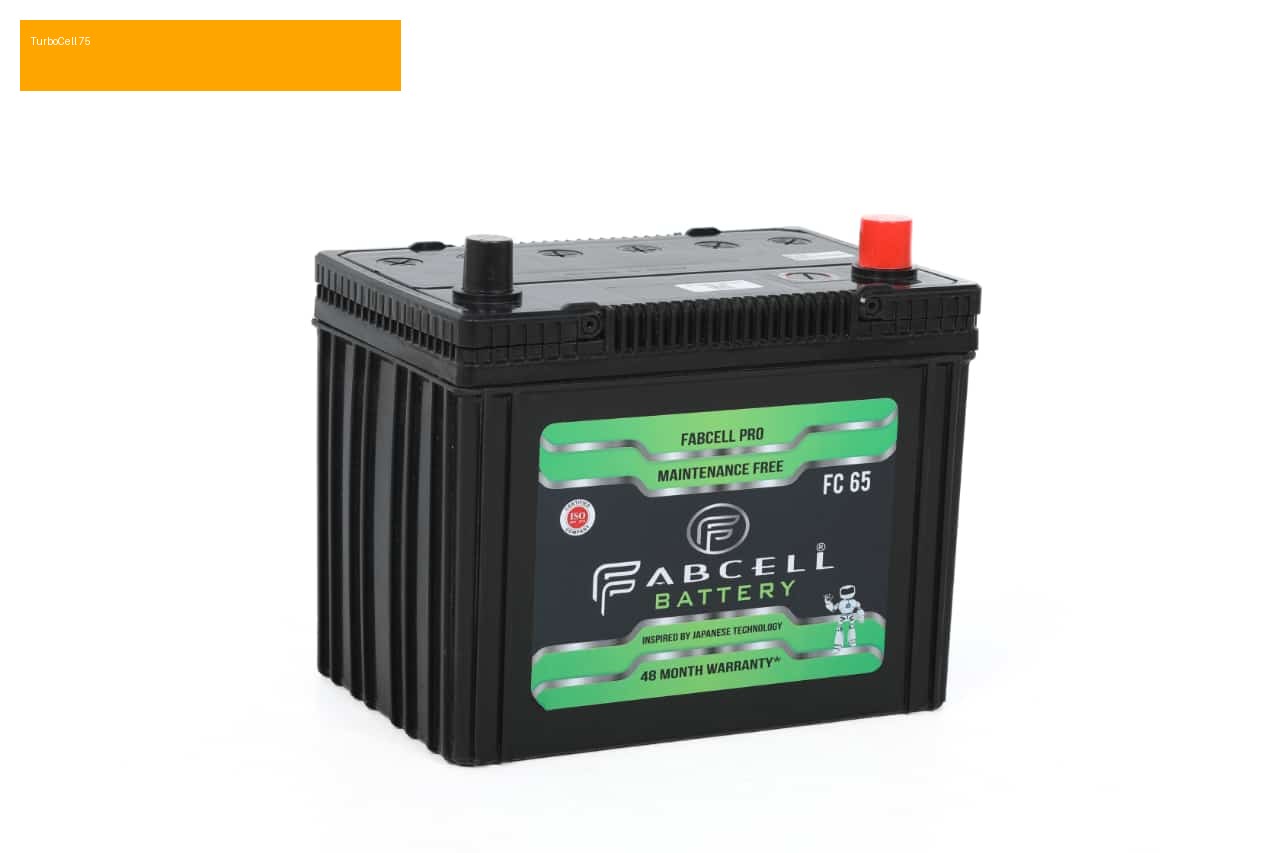 Inverter Batteries